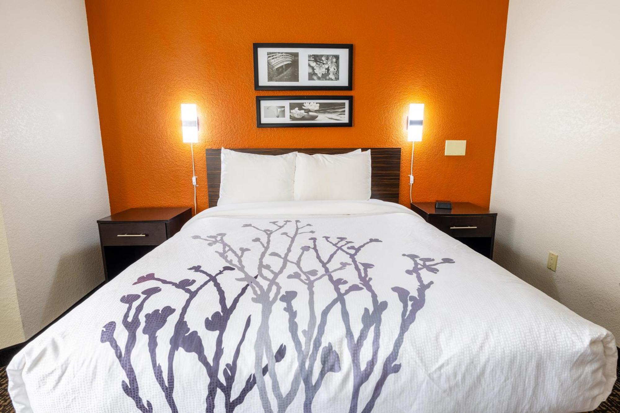 Sleep Inn Ormond Beach - Daytona Dış mekan fotoğraf